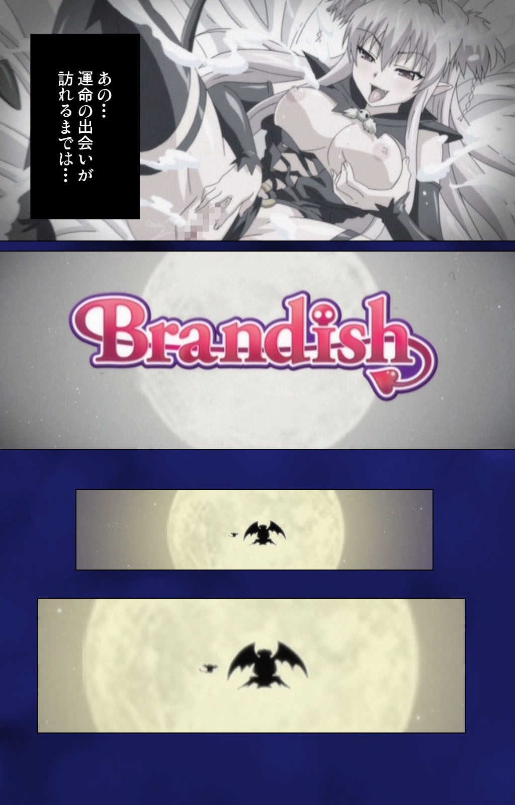 [Rusty Soul×或十せねか] 【フルカラー成人版】 Brandish Complete版 [DL版]