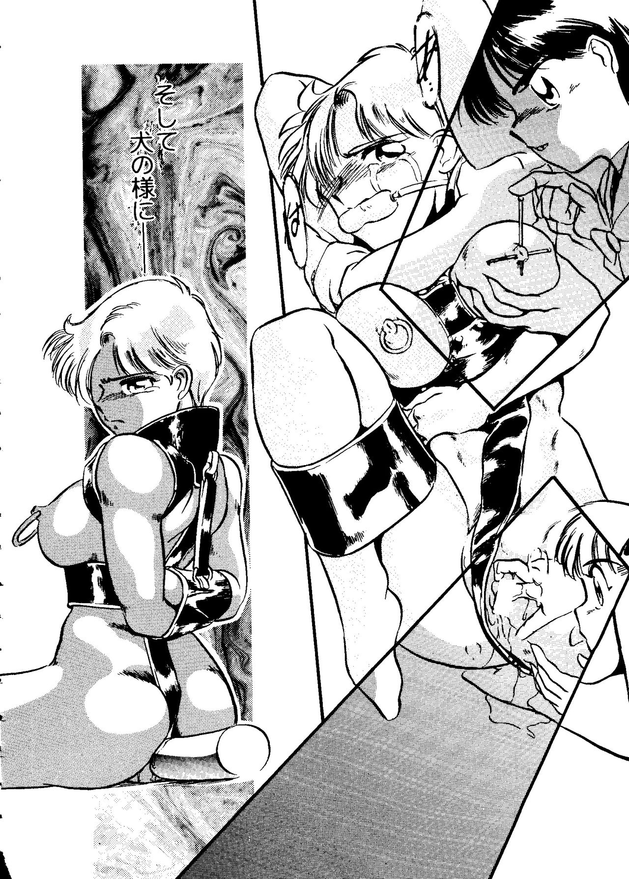 [アンソロジー] フロム ザ ムーン 2 (美少女戦士セーラームーン)