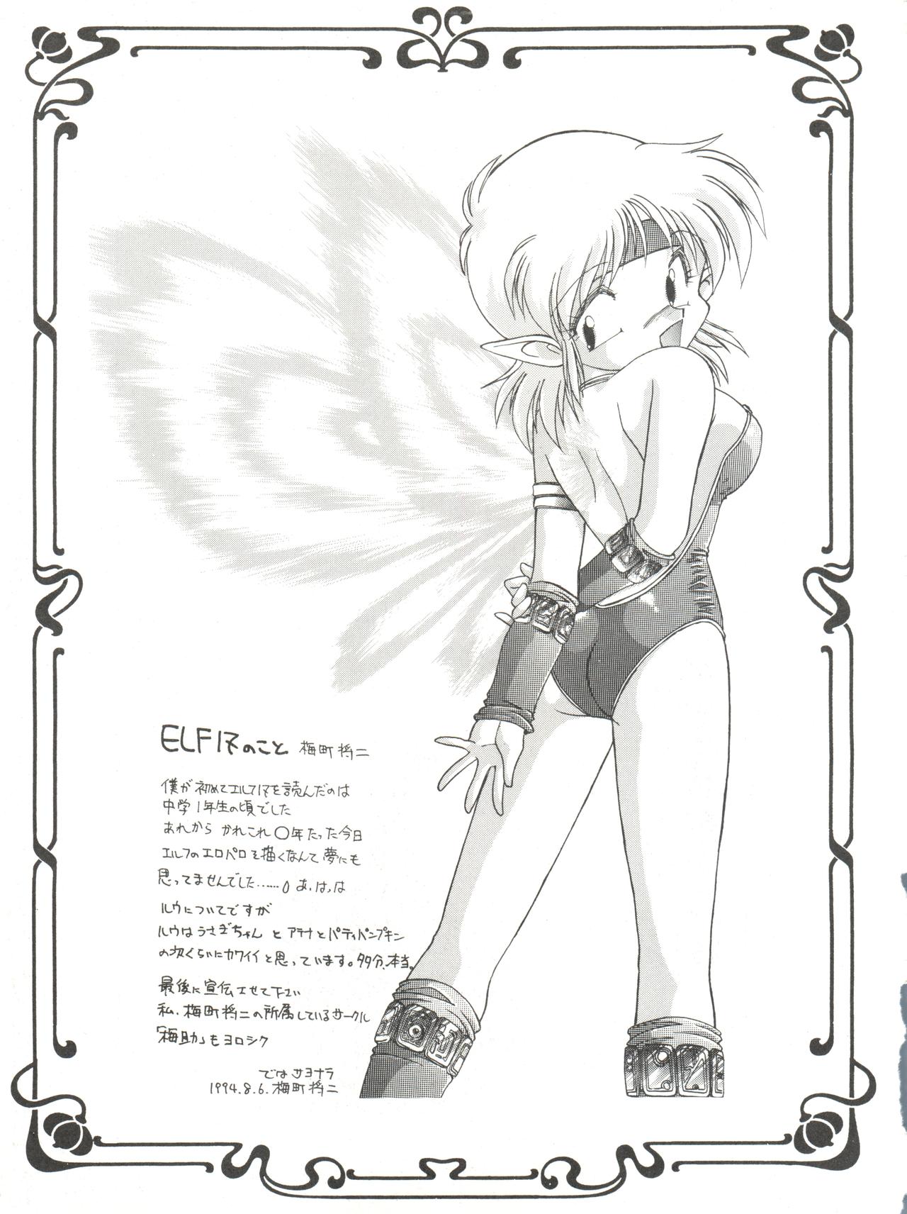 (C48) [豺狼出版 (J・さいろー)] 燕雀 Volume 1 (エルフ・１７、魔法騎士レイアース)