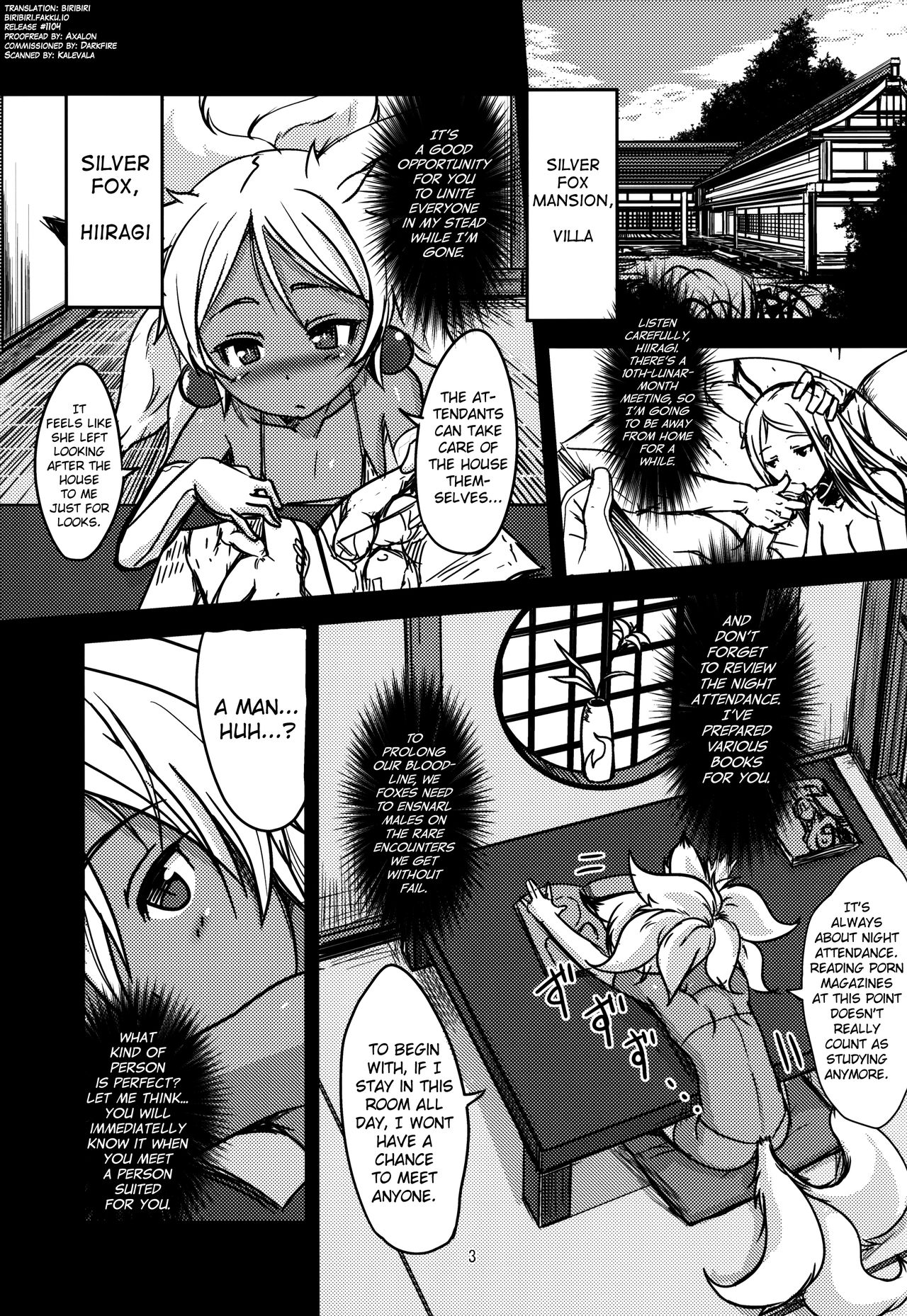 (C90) [端末異常 (BadHanD)] 双狐の帳 其の肆 [英訳]