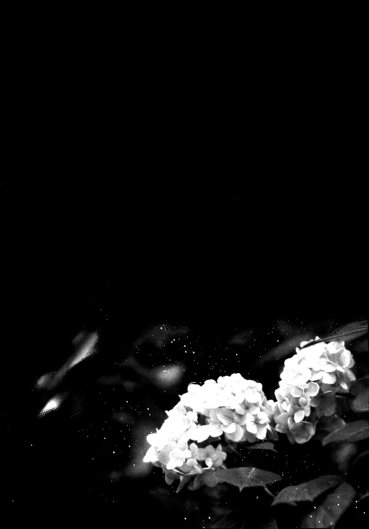 (コミティア117) [青色一座 (あおいろ一号)] のらねことレインデイズ [英訳]