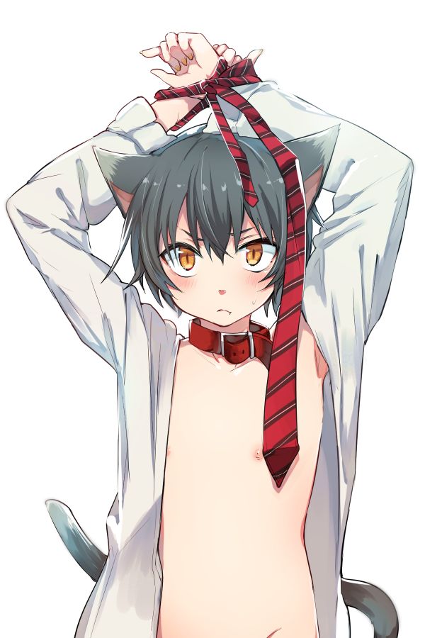 (コミティア117) [青色一座 (あおいろ一号)] のらねことレインデイズ [英訳]