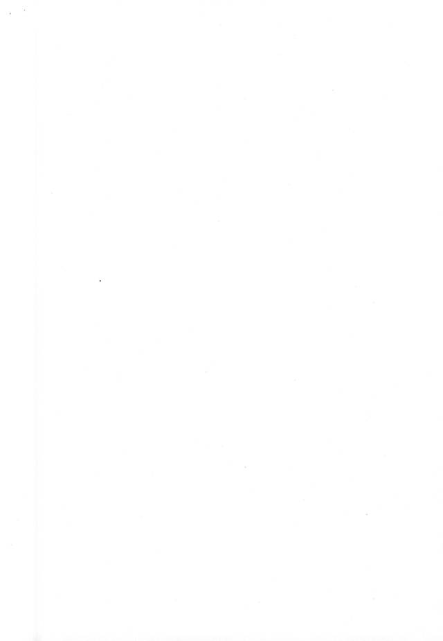 (かぶき町大集会) [いとり (わっし)] このあと無茶苦茶・・・ (銀魂)