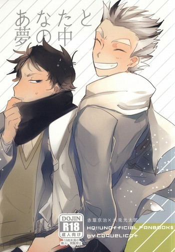 (HARUCC20) [coquelicot (chig)] あなたと夢の中 (ハイキュー!!)