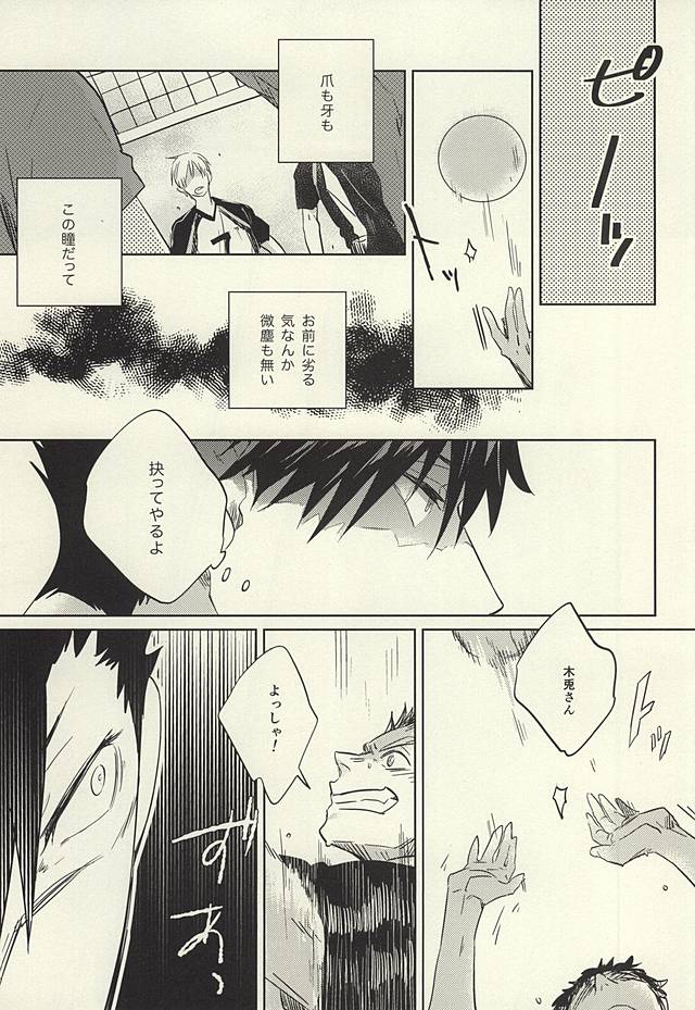 (C88) [タカマチ (全裸)] 極限高地のけもの 後篇 (ハイキュー!!)