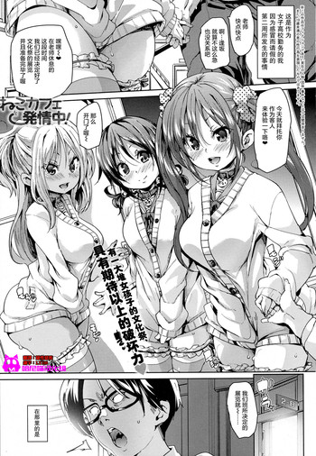 [丸居まる] ねこカフェ発情中! (COMIC アンスリウム 2016年7月号) [中国翻訳]