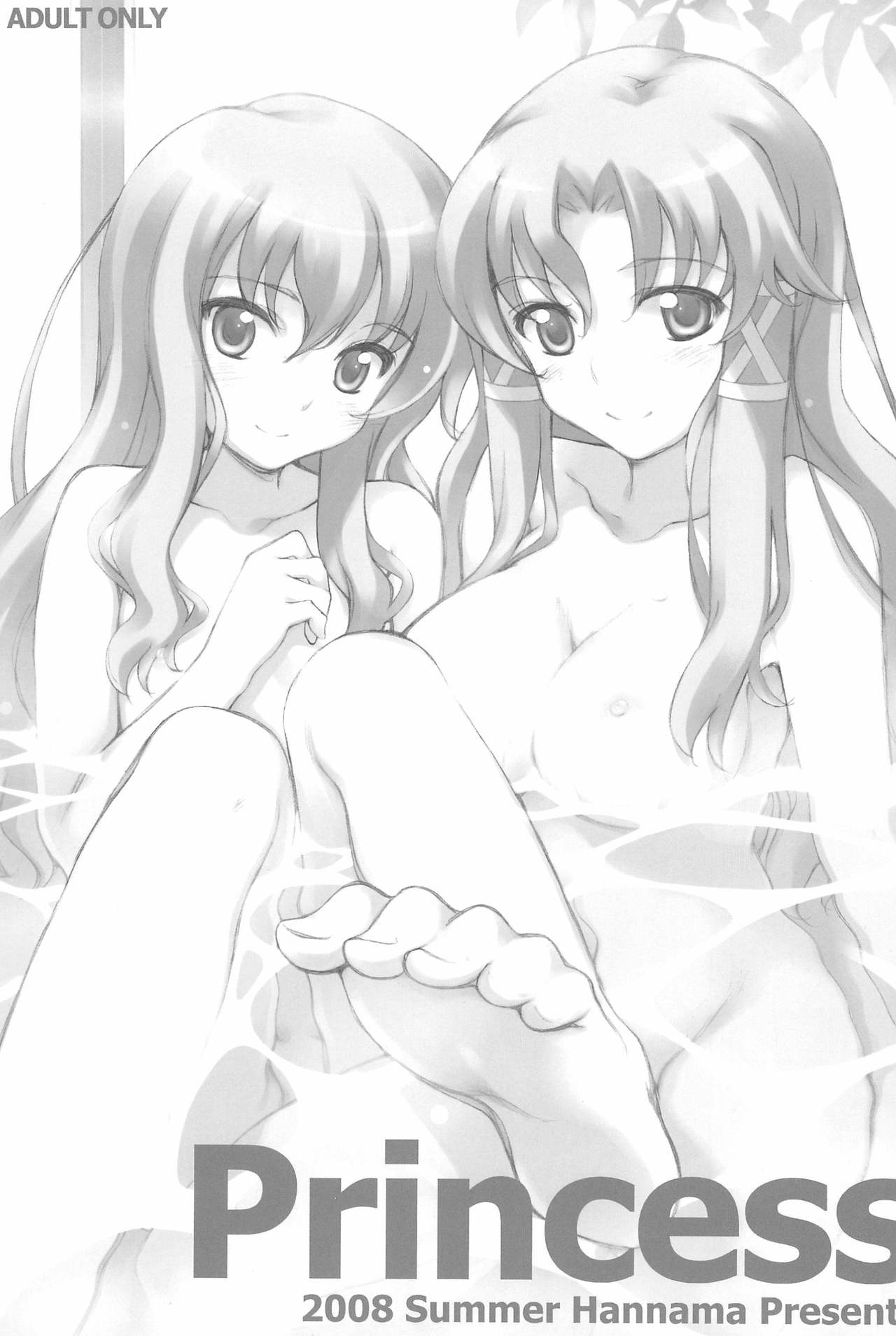 (C74) [はんなま (せれれ)] Princess (ゼロの使い魔)