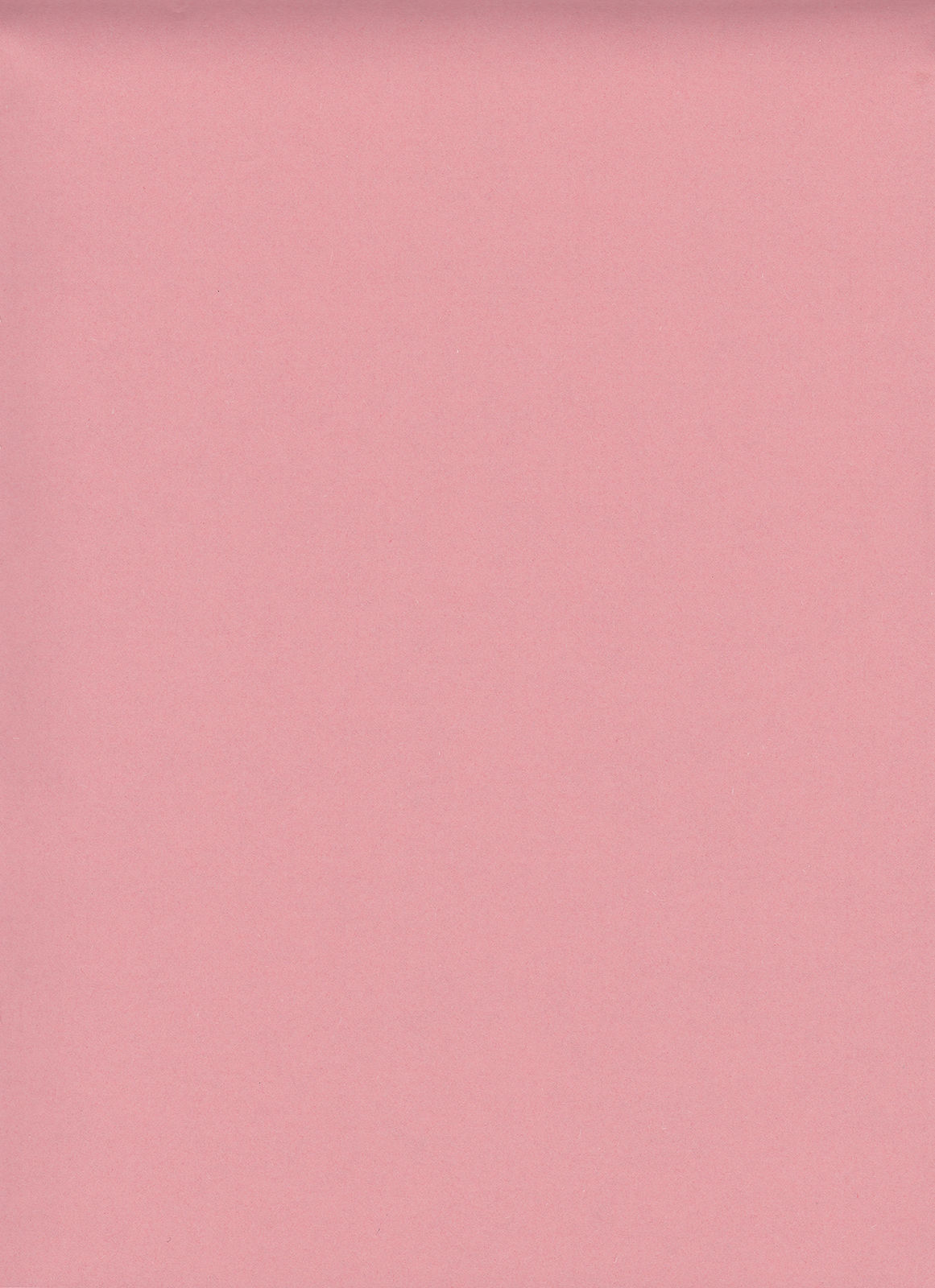 (C90) [Lyricalize (うさちこ)] Sweetie Creature (ベイマックス)