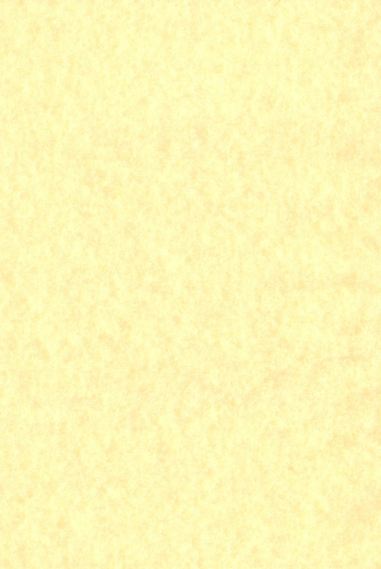 [スタジオナデシコ(大和なでしこ)] みつばもえ 2 (みつどもえ)