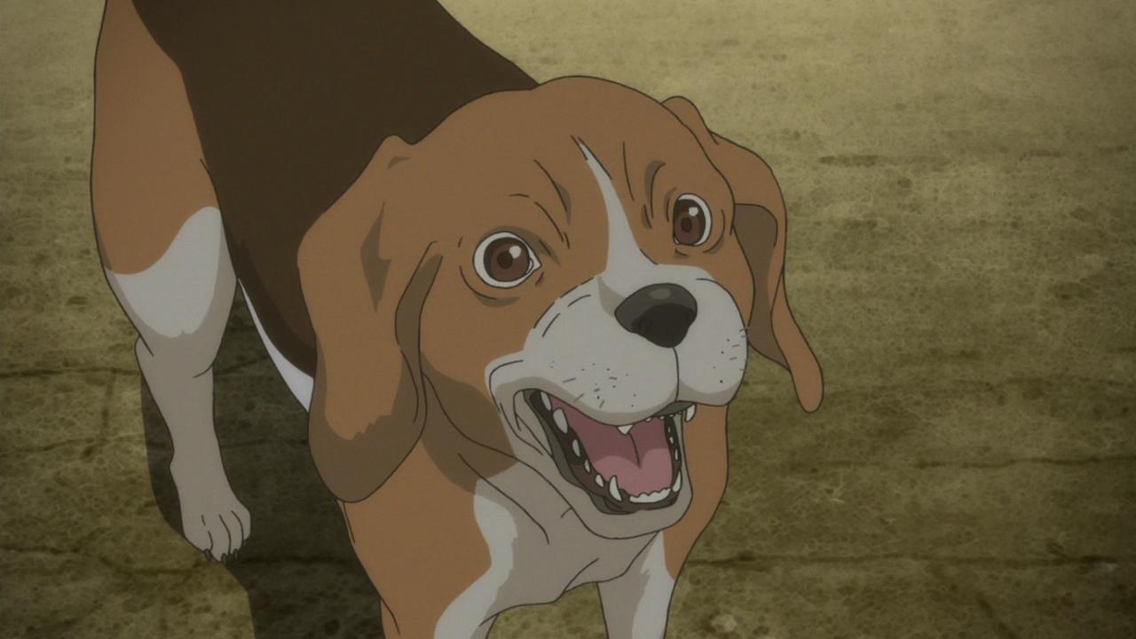 [rca] トイドッグプリテンダーズ (COMIC 快楽天ビースト 2016年8月号) [中国翻訳]