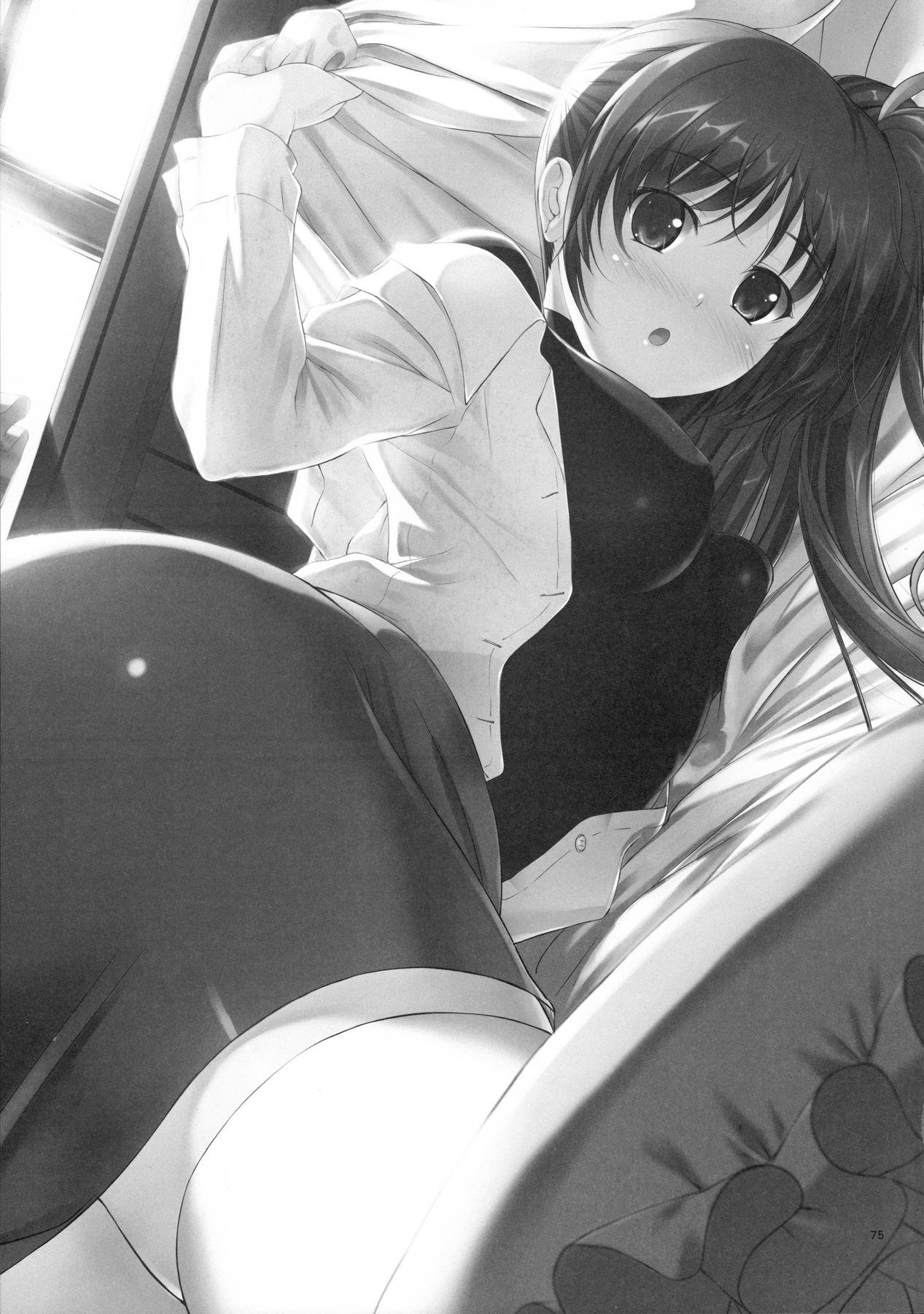 (C88) [IV VA SHIN (みくに瑞貴)] Home Sweet Home ~総集編~ (魔法少女リリカルなのは)