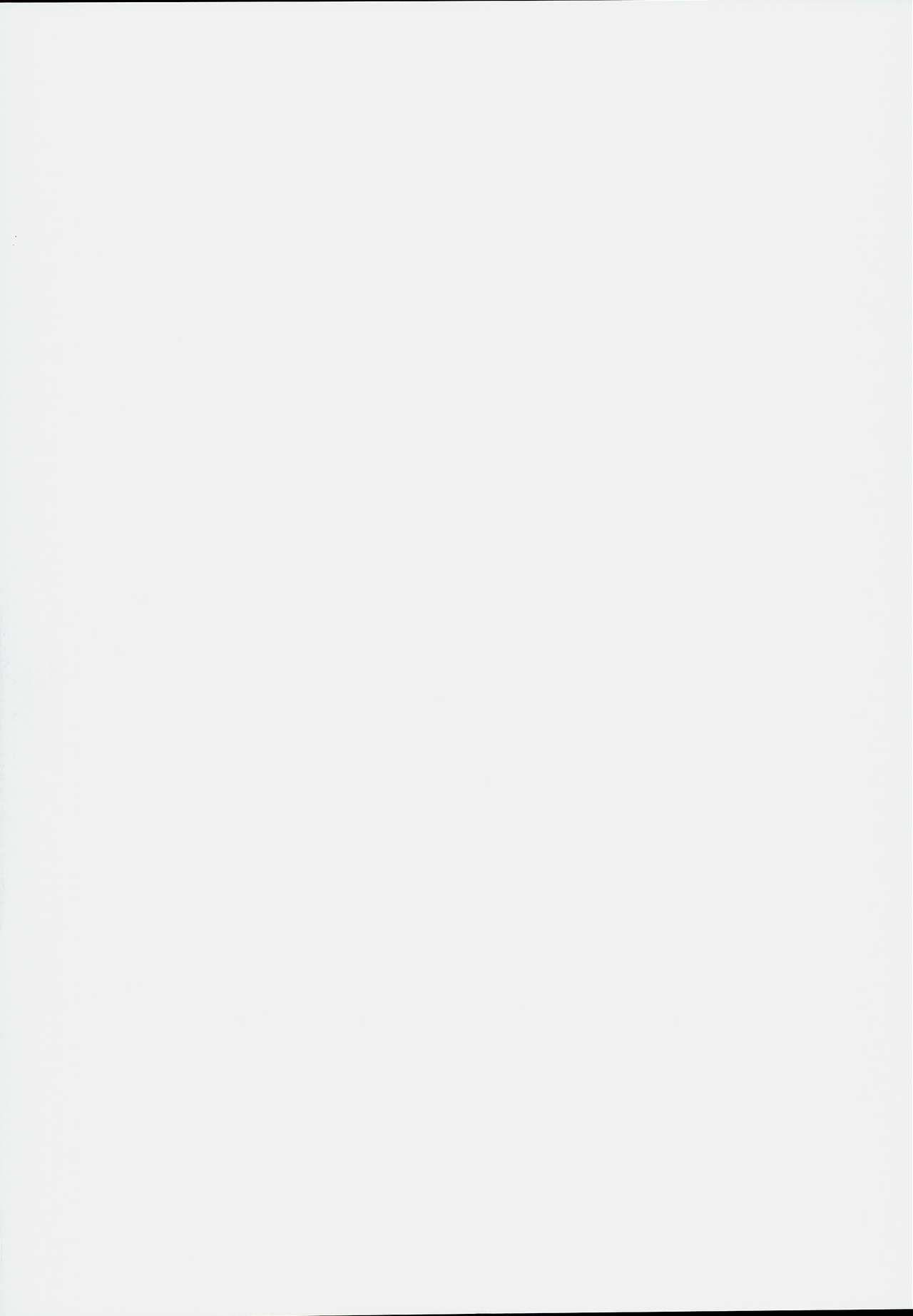 (例大祭13) [かみか堂 (銀曜ハル)] 幻想郷楽園化計画17 (東方Project)