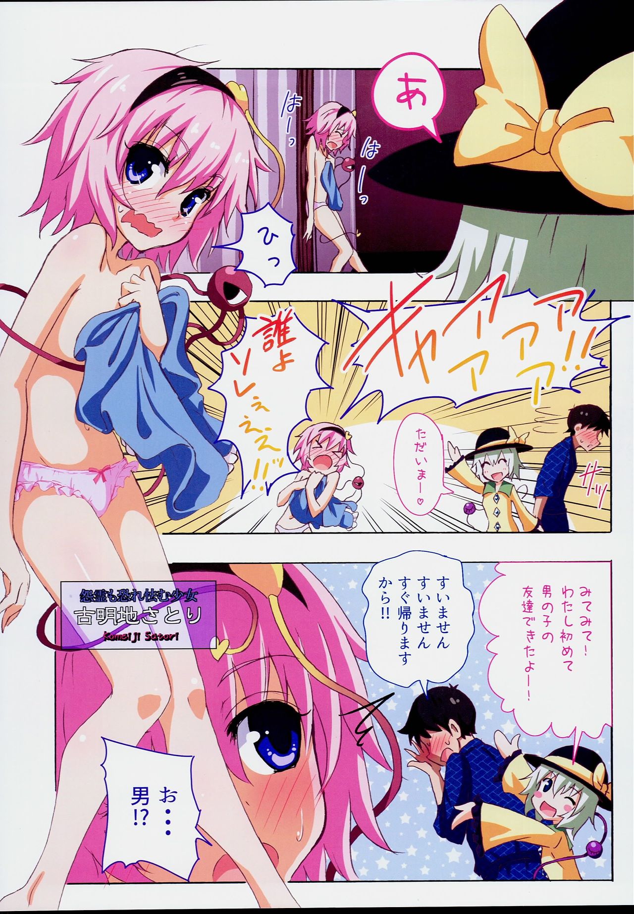 (例大祭13) [かみか堂 (銀曜ハル)] 幻想郷楽園化計画17 (東方Project)