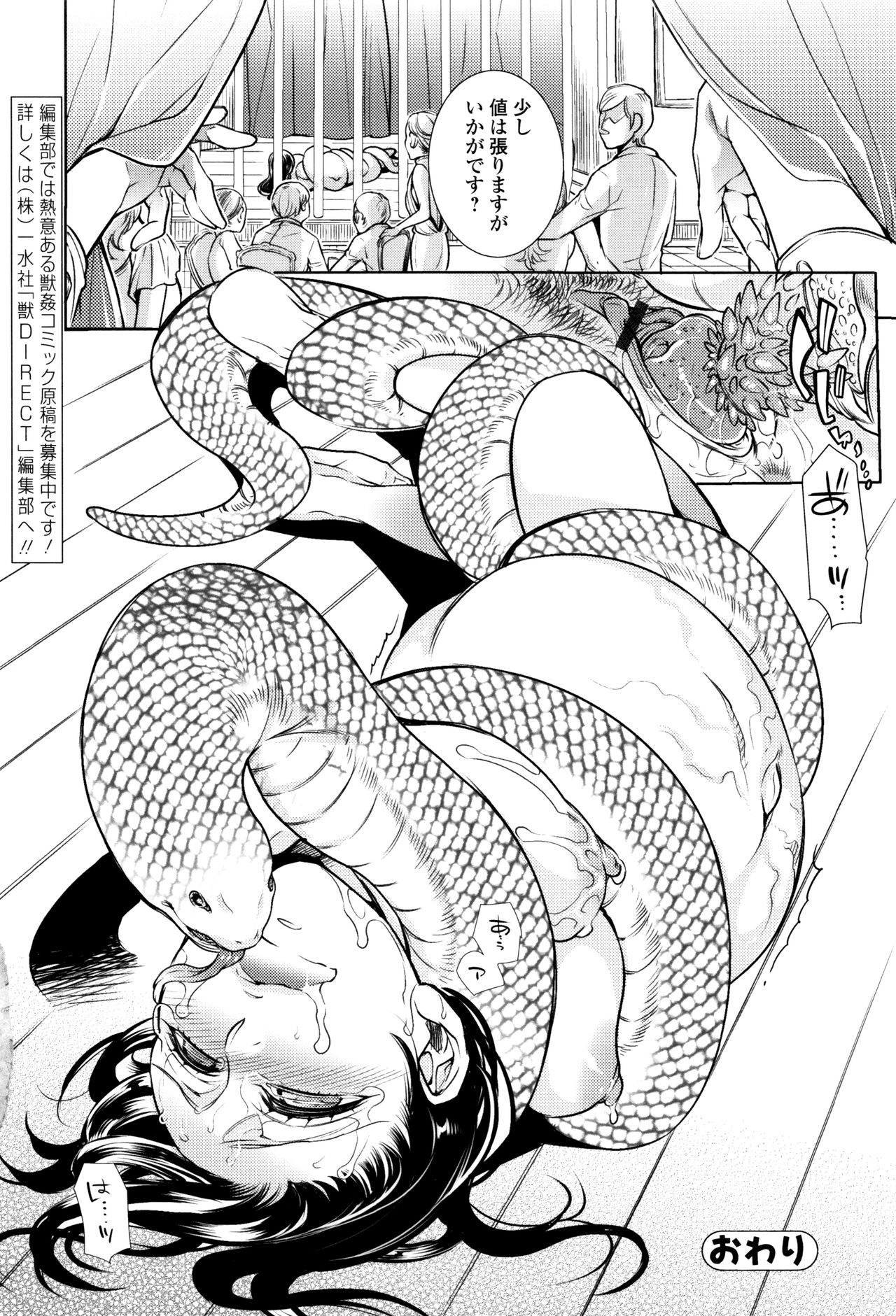 [アンソロジー] 獣DIRECT 3