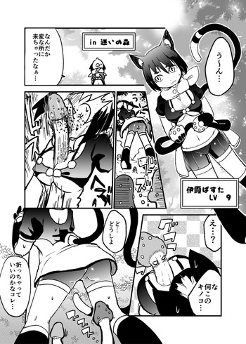 【ヤコウキョク（イハマダカ）】迷いの森で