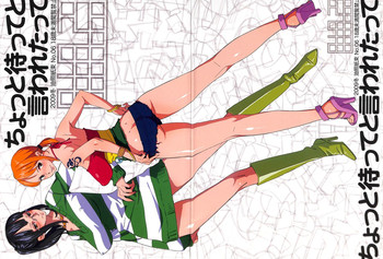 [油照紙 (ボボボ)] ちょっと待ってと言われたって (ONE PIECE) [2010年2月号]