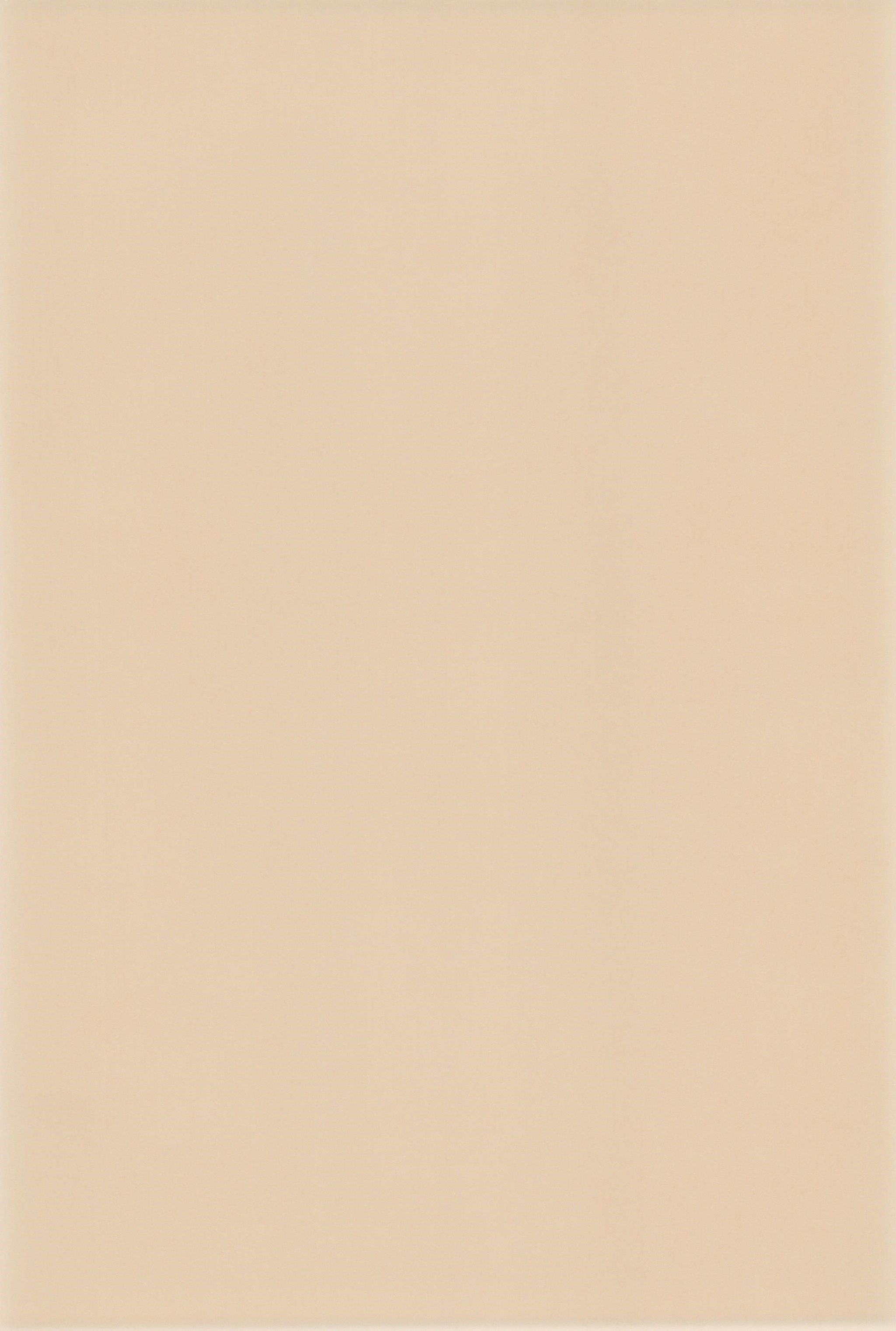 (C56) [あしの家 (よろず)] 貧乳娘伍 (よろず)