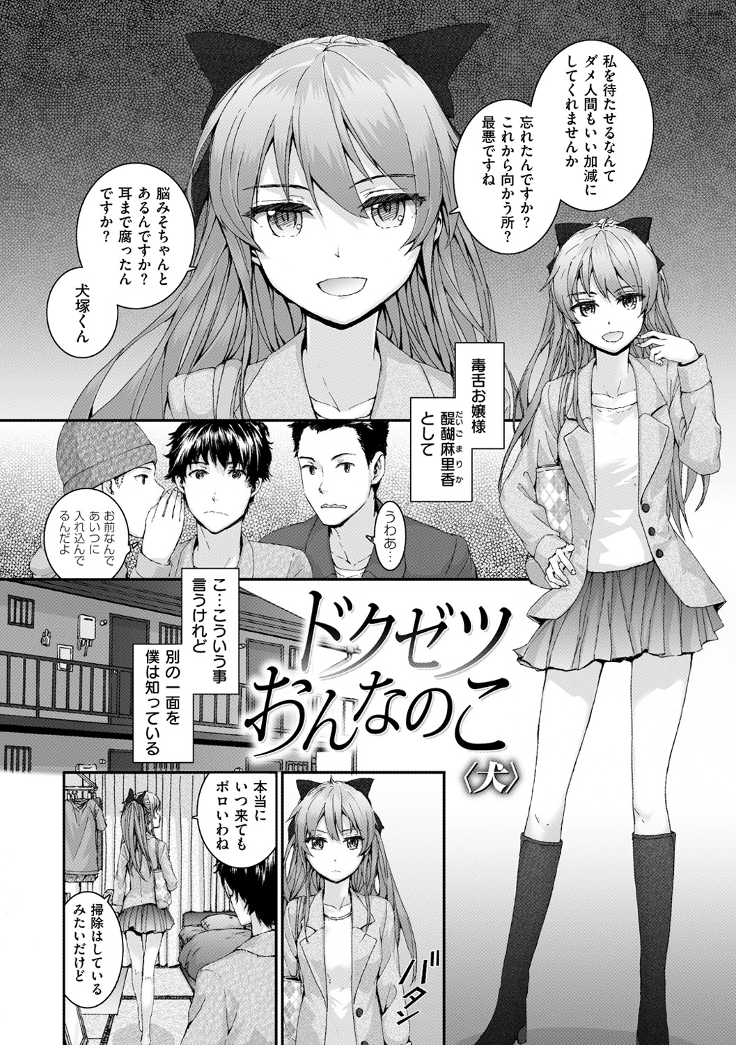 [スミヤ] Bitches Plan [DL版]