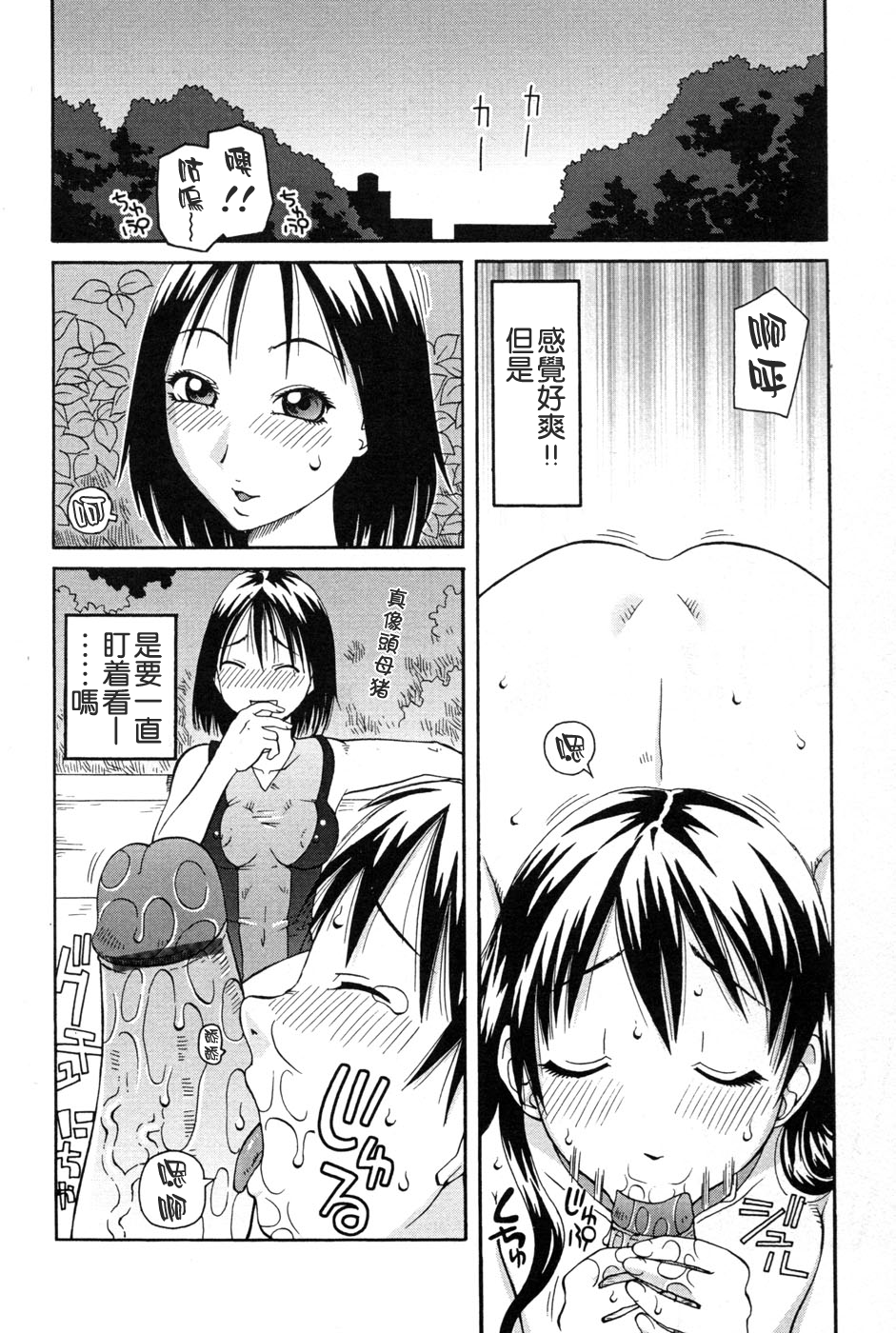 [きあい猫] 判割 [中国翻訳]