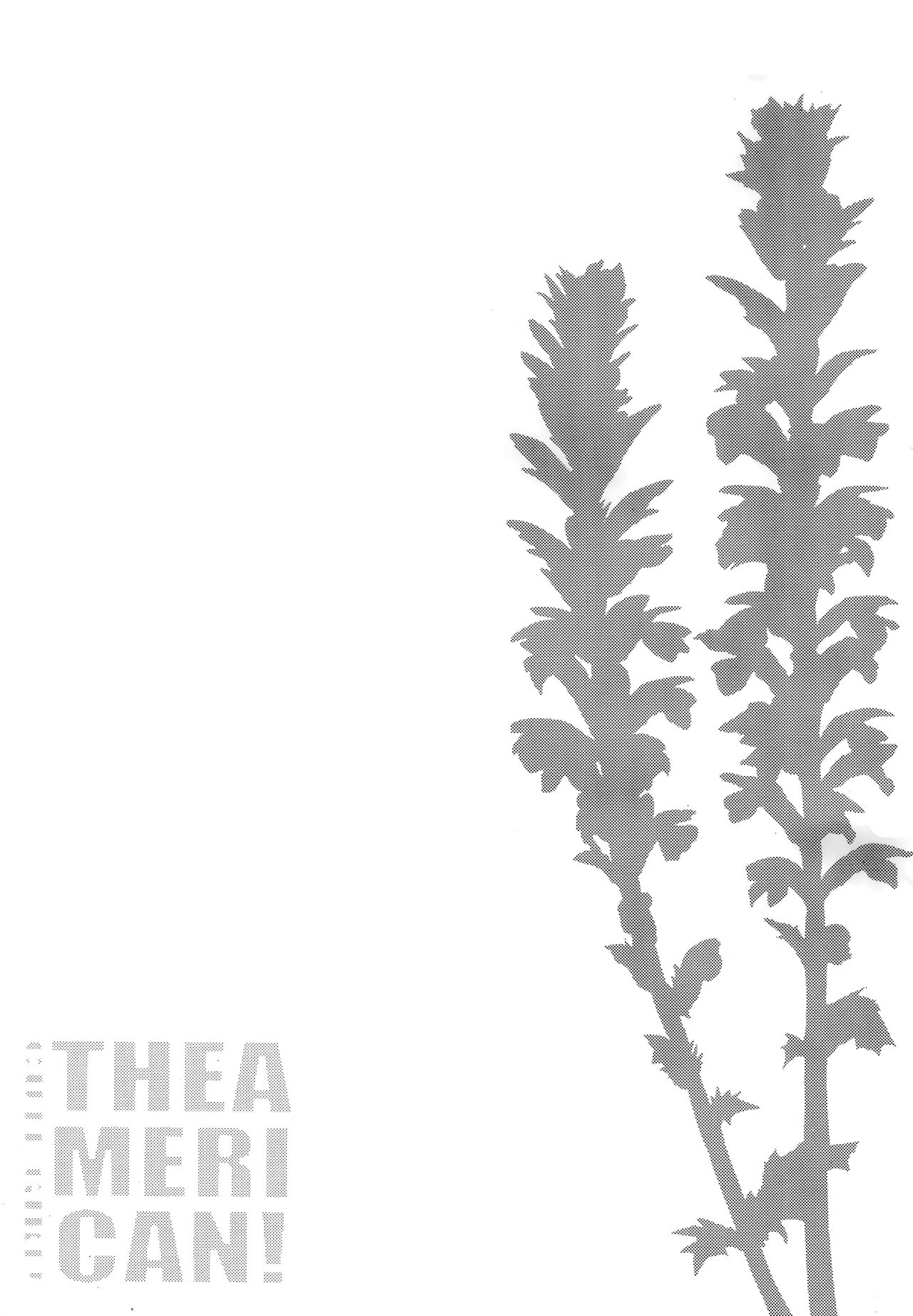 [odin (黒川IZUMI)] CUTE GIRL! THE AMERICAN! (艦隊これくしょん -艦これ-)