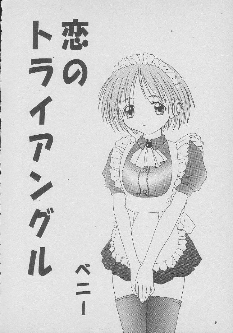 (コミックキャスル13) [BLACK†ANGEL (REN)] DREAM HEART (トゥハート) [ページ欠落]