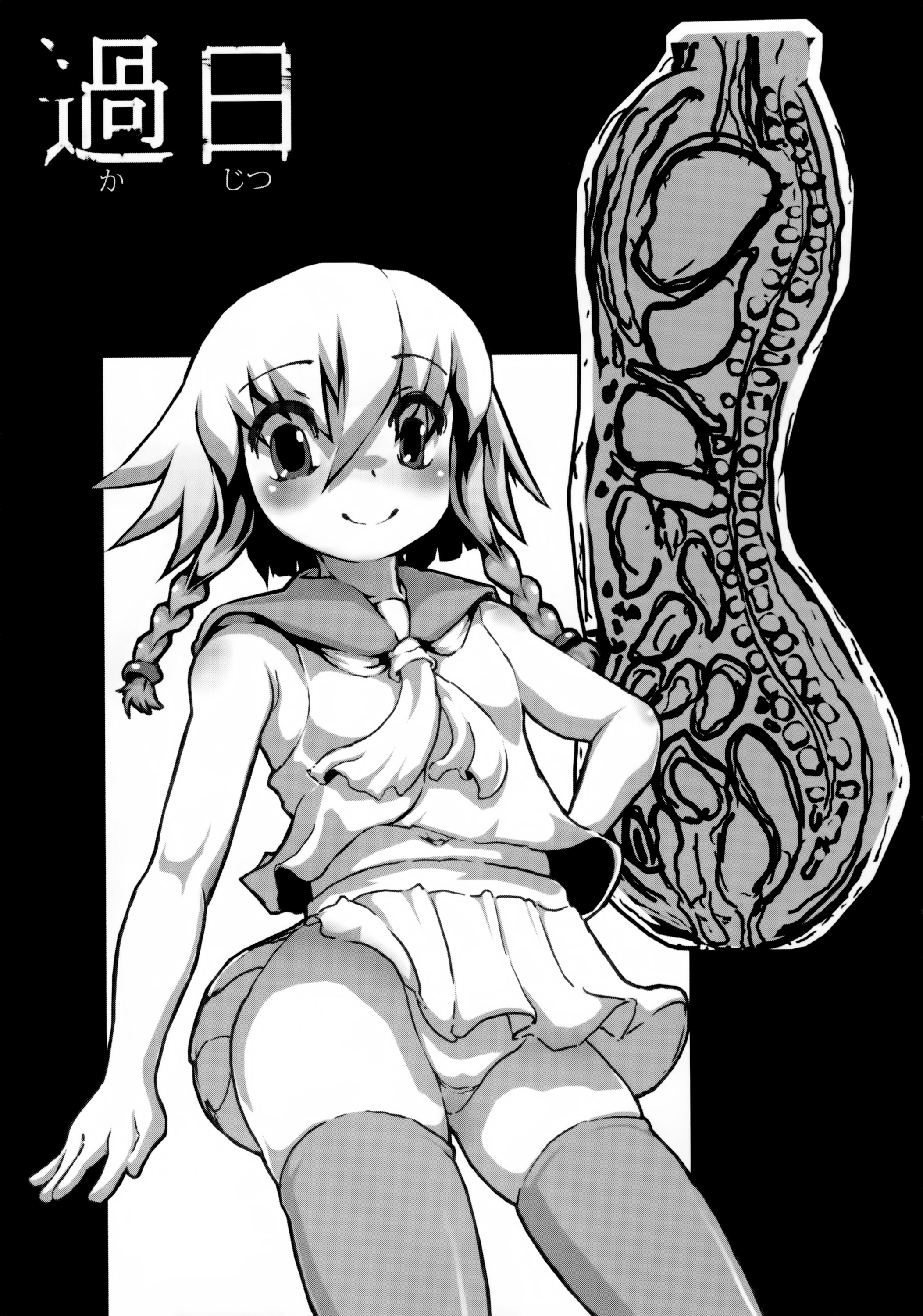 (C88) [ジョング (スキヨ)] 過日