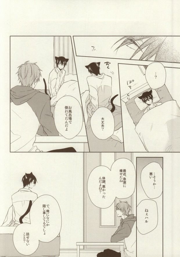 (恋愛サバイバル) [CASHLAIM (はる)] いただきます ごちそうさま (Free!)