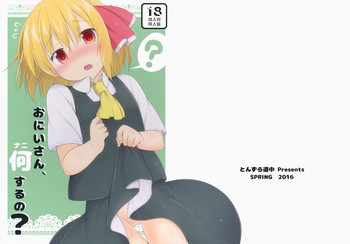 (例大祭13) [とんずら道中 (かざわ)] おにいさん、何するの? (東方Project)