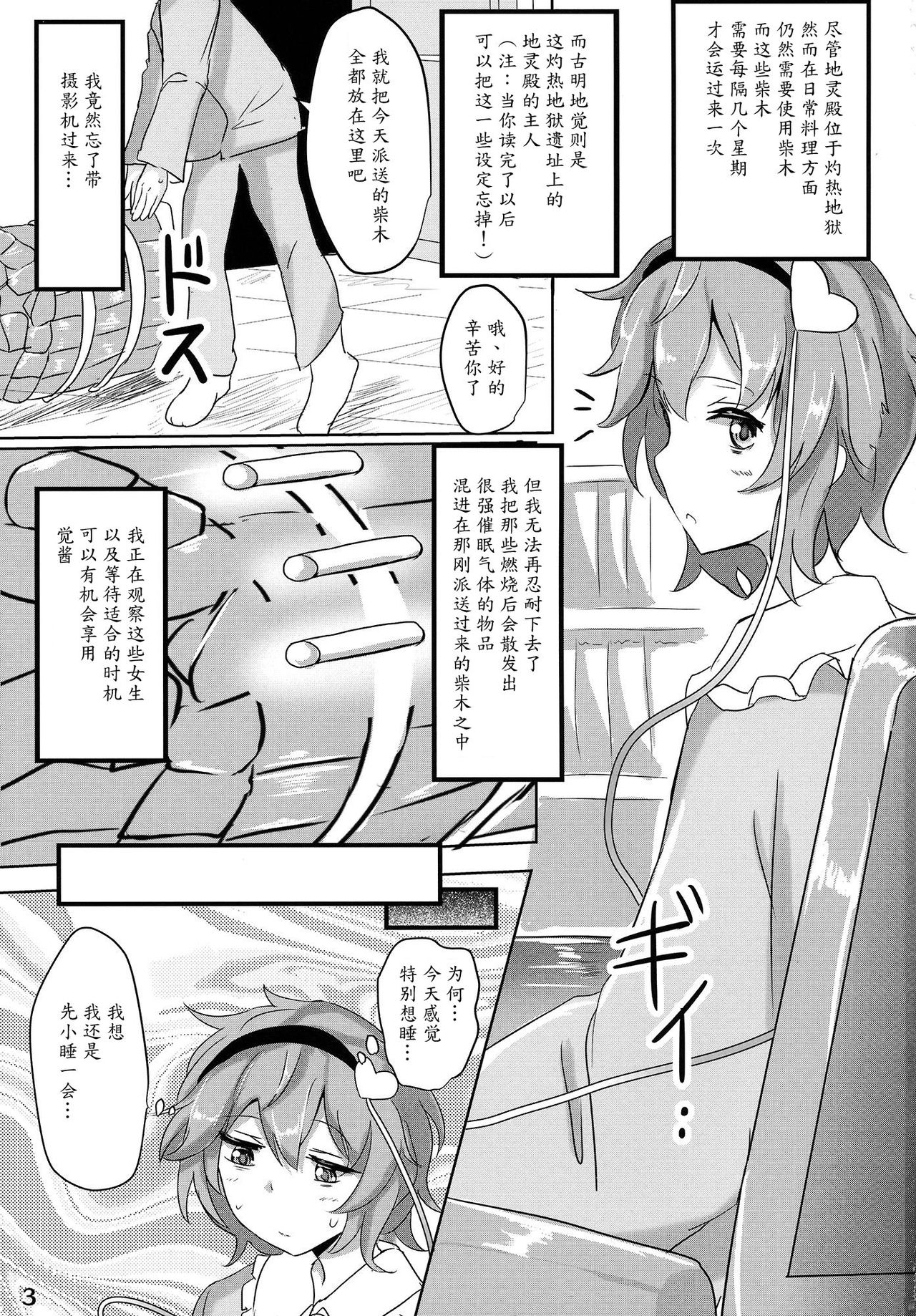 (例大祭12) [白銀木犀 (ぽし)] さとり睡姦 (東方Project) [中国翻訳]