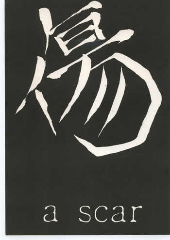 (同人誌) [スタジオ生] 傷