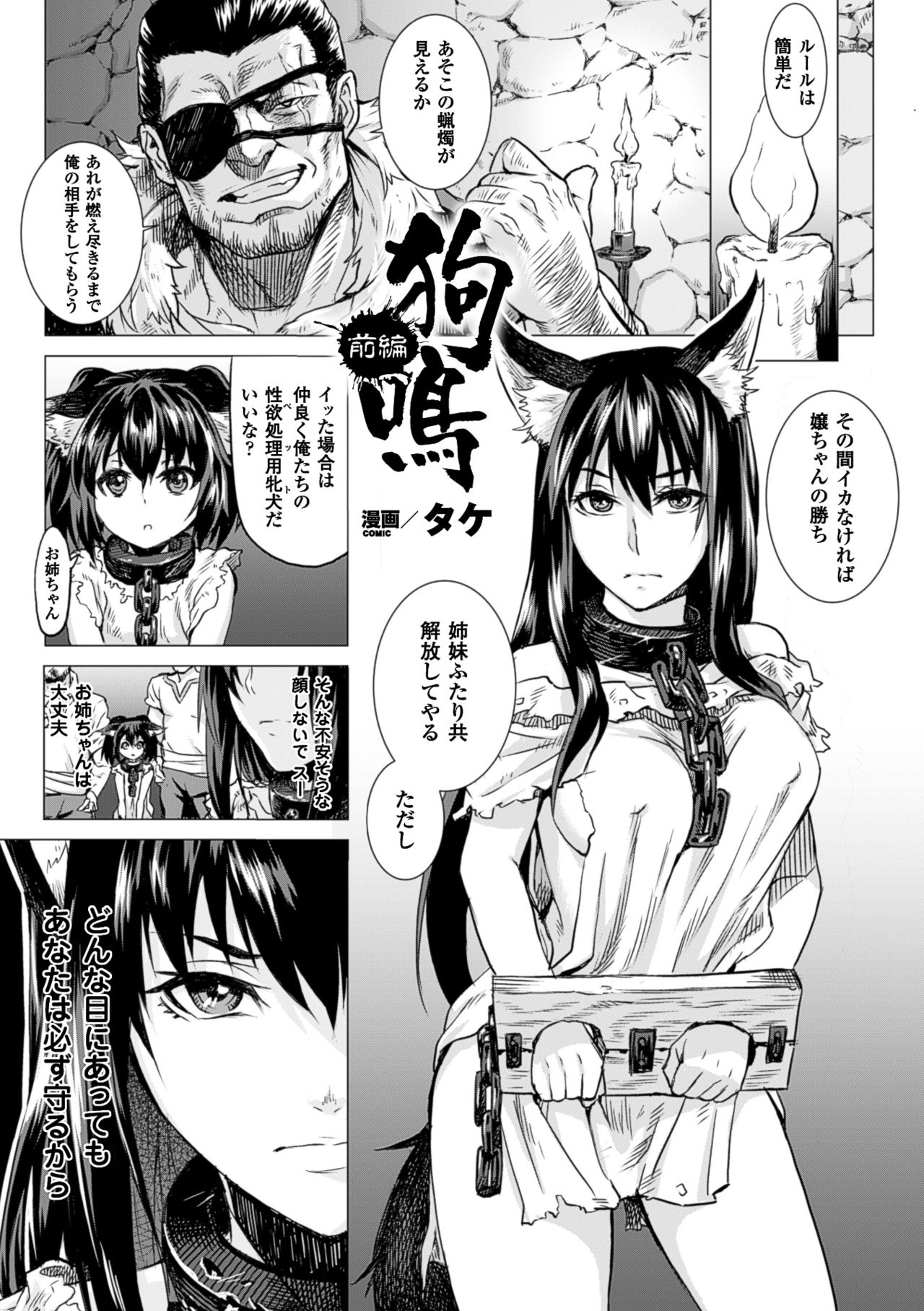 コミックアンリアル 2016年6月号 10周年記念特別付録DVD