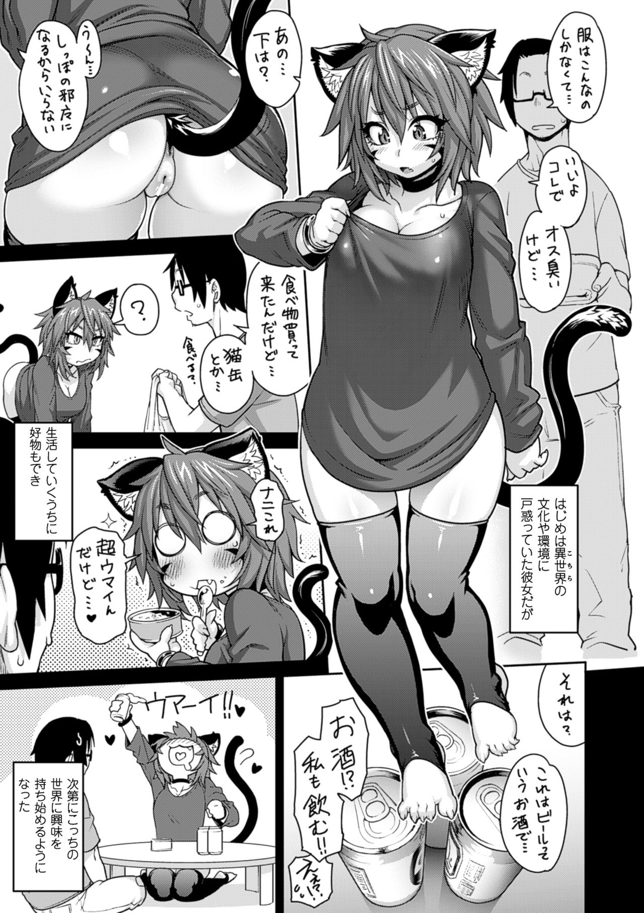 コミックアンリアル 2016年6月号 10周年記念特別付録DVD