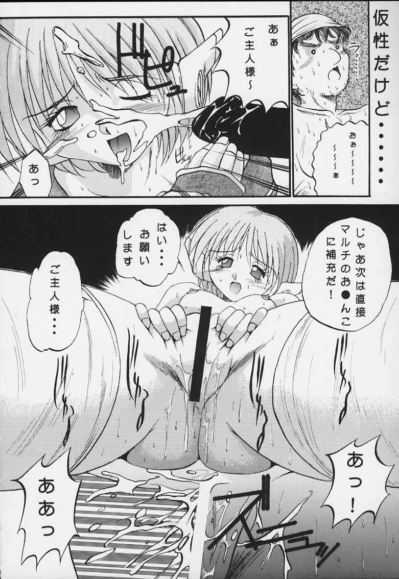 (C52) [あかひら麒麟 (あかひらきりん)] 似非・2 (トゥハート)