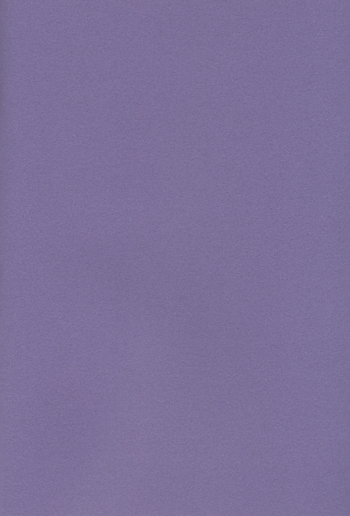 [あつあつCOOK (かたぎりあつこ)] NEOROMANCEGAME (デジモンアドベンチャー02)