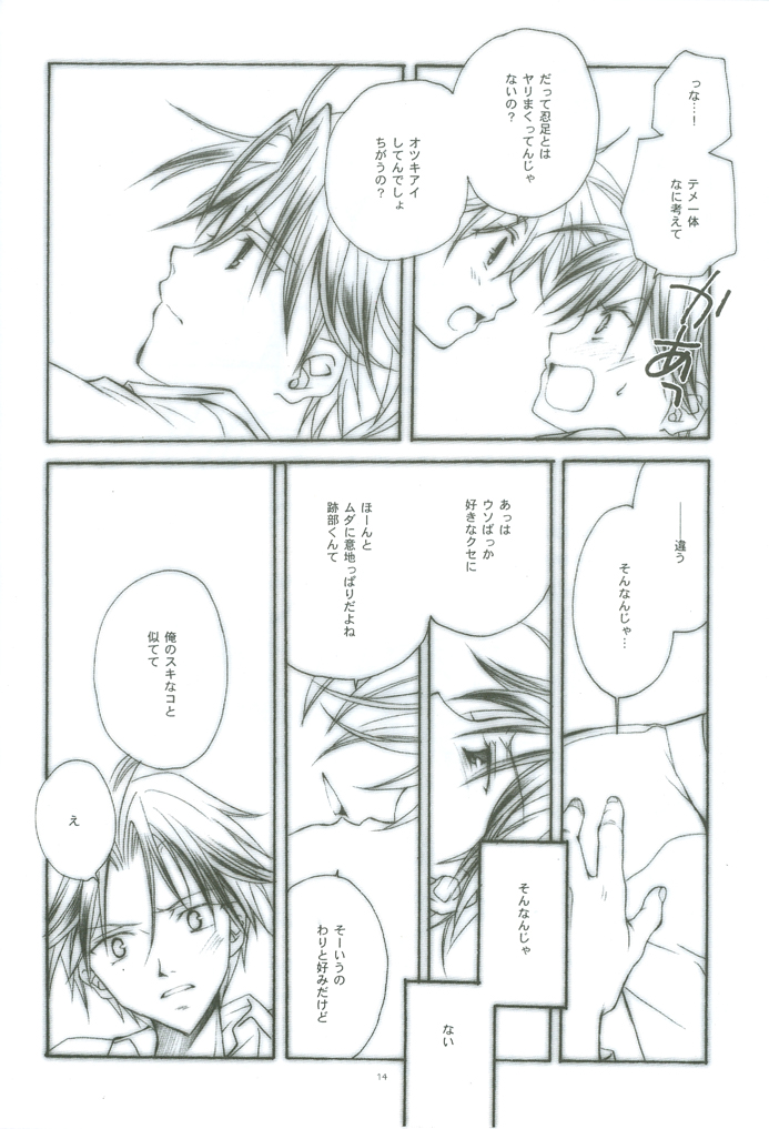 [FireCracker (星野志保)] HYBRID HEROINE (テニスの王子様)