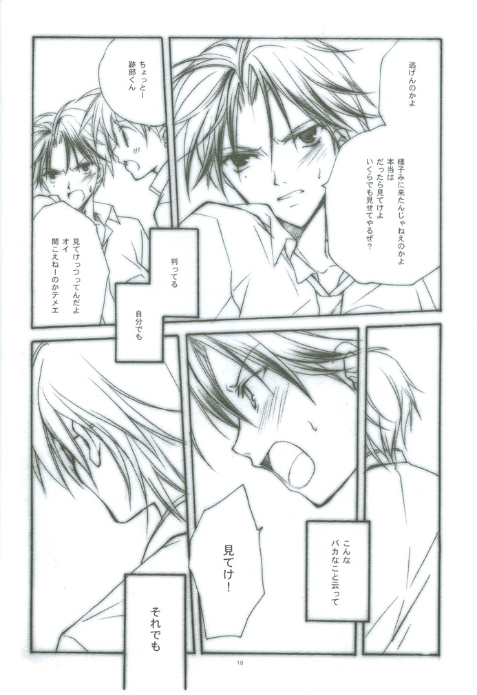 [FireCracker (星野志保)] HYBRID HEROINE (テニスの王子様)