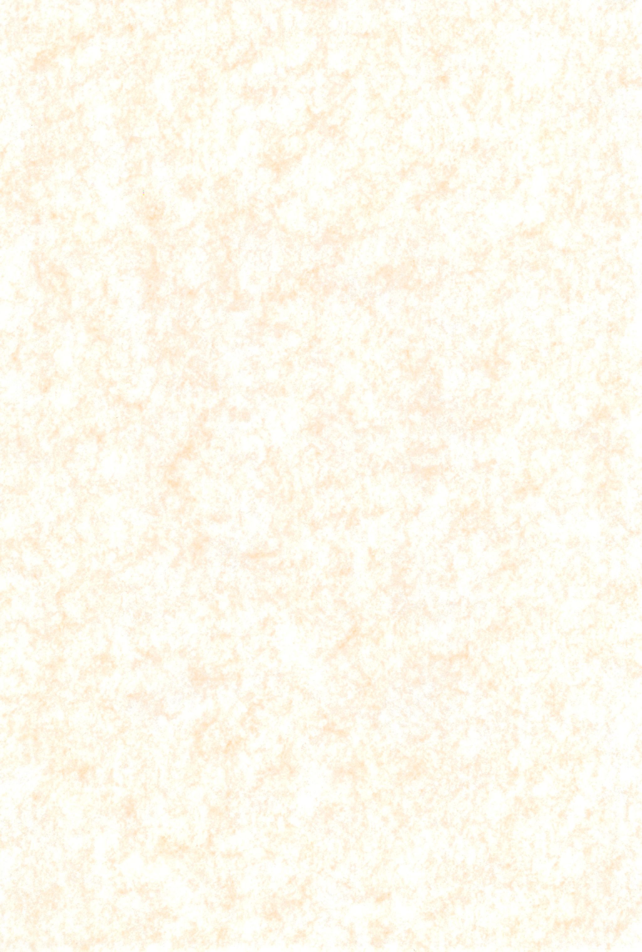 (C72) [COUNTER ATTACK (逆襲武士)] 未熟!!半熟!!ロリロリ盛り!! 6 (ふしぎ星の☆ふたご姫)