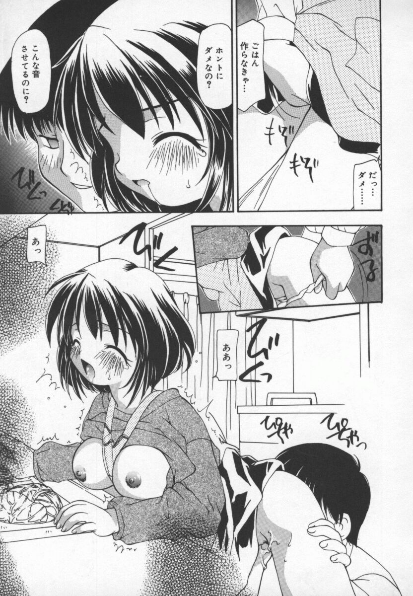 [奏亜希子] CATS ON THE BLACK CAGE