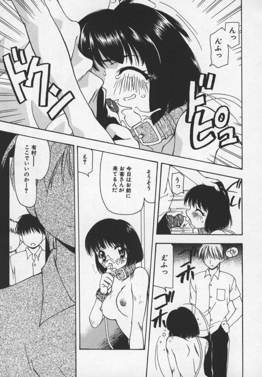 [奏亜希子] CATS ON THE BLACK CAGE