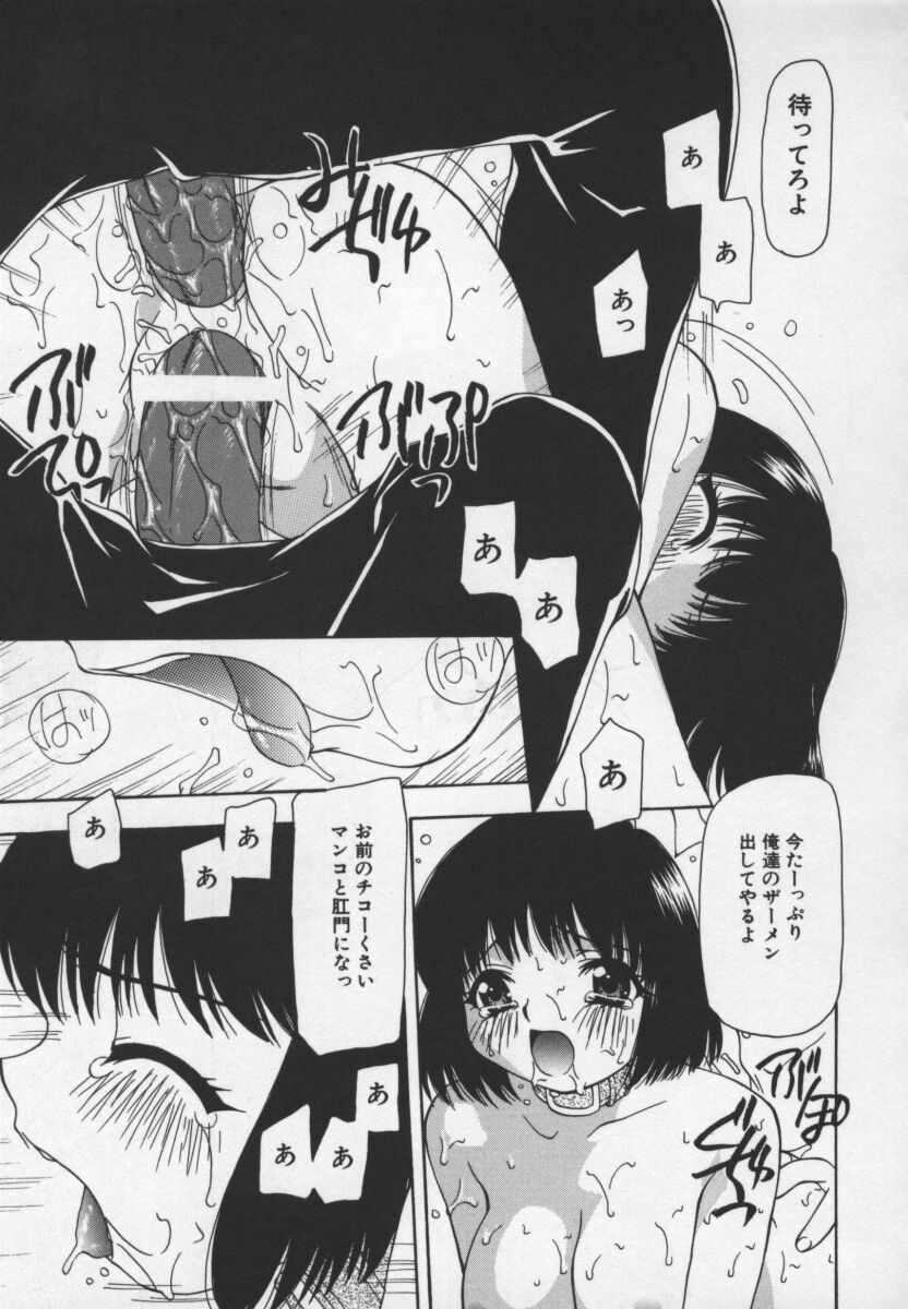 [奏亜希子] CATS ON THE BLACK CAGE