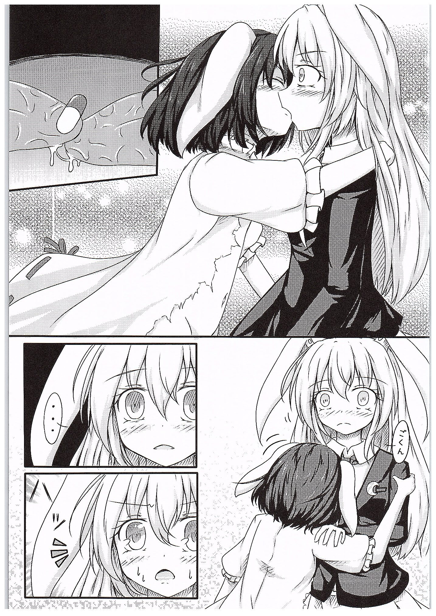 (C89) [心輝楼 (ぢょん)] 異常性欲兎 (東方Project)