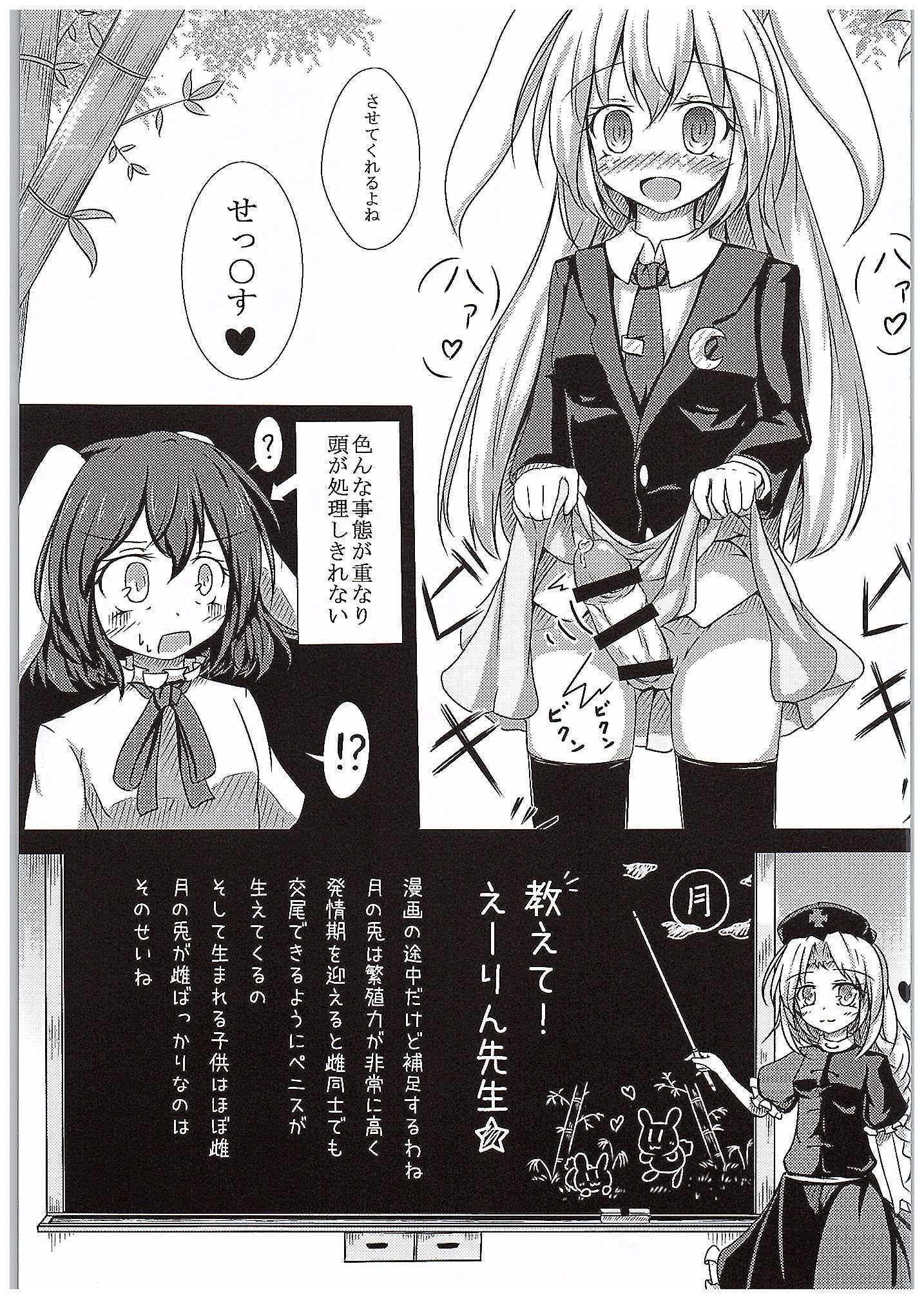 (C89) [心輝楼 (ぢょん)] 異常性欲兎 (東方Project)