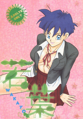 [ちり紙小屋、ふすま御殿 (障子張子、栗)] 若葉 (ドラゴンボールGT)