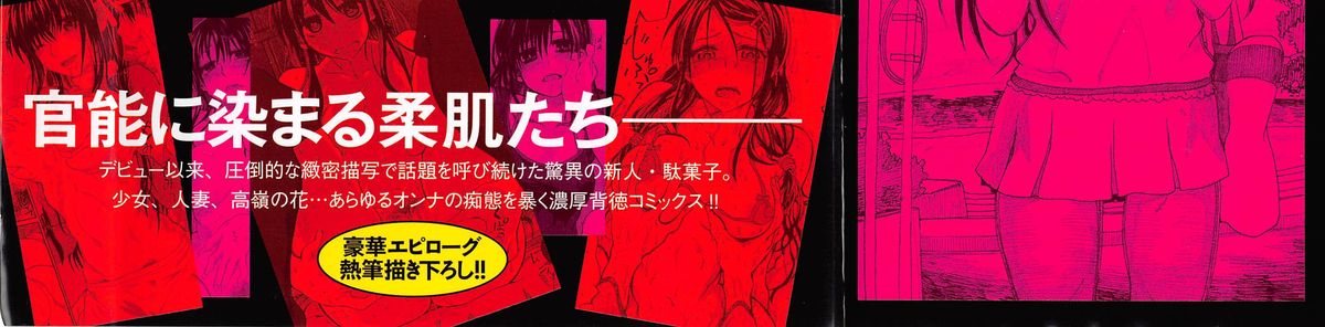 [駄菓子] 純潔の終わる日々