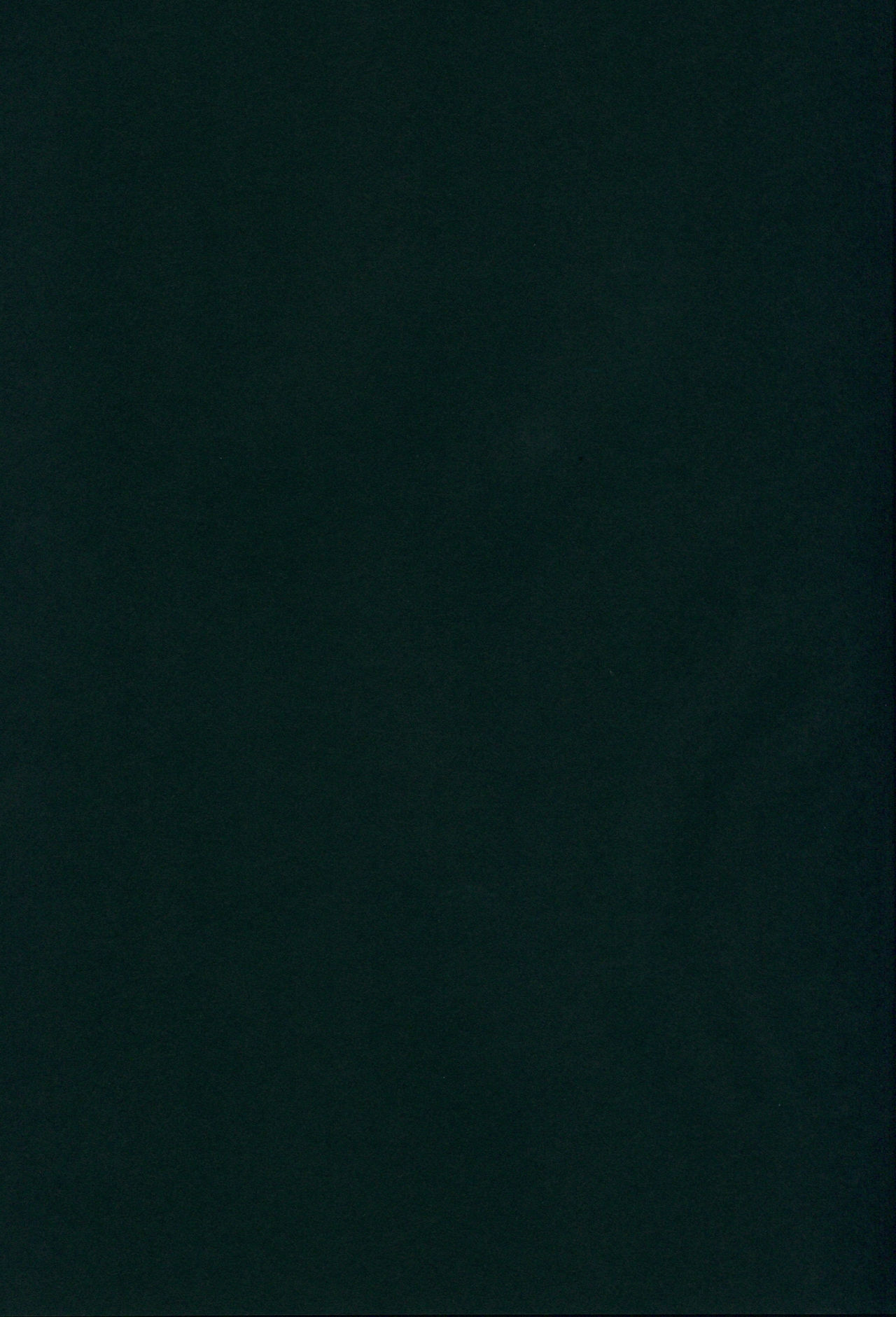 (C89) [SANDAN (くるん)] 照月ちゃんの受難 (艦隊これくしょん -艦これ-)