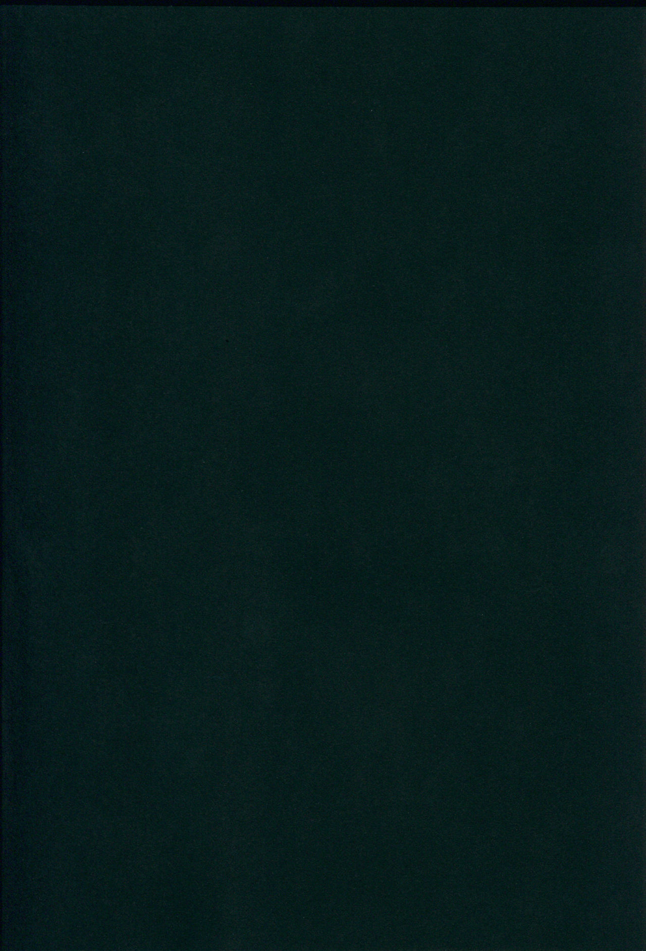 (C89) [SANDAN (くるん)] 照月ちゃんの受難 (艦隊これくしょん -艦これ-)