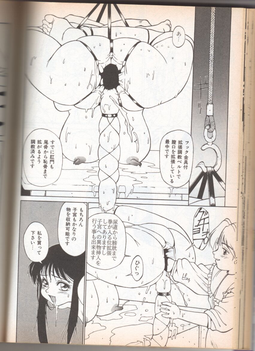 [トランプ]ホムンクルスロジスティクス