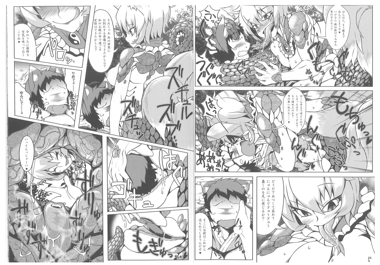 (C89) [YAMADA AIR BASE (ざわ, むむむ, ゆからんのすけ)] おしおきらんみあ (東方Project)