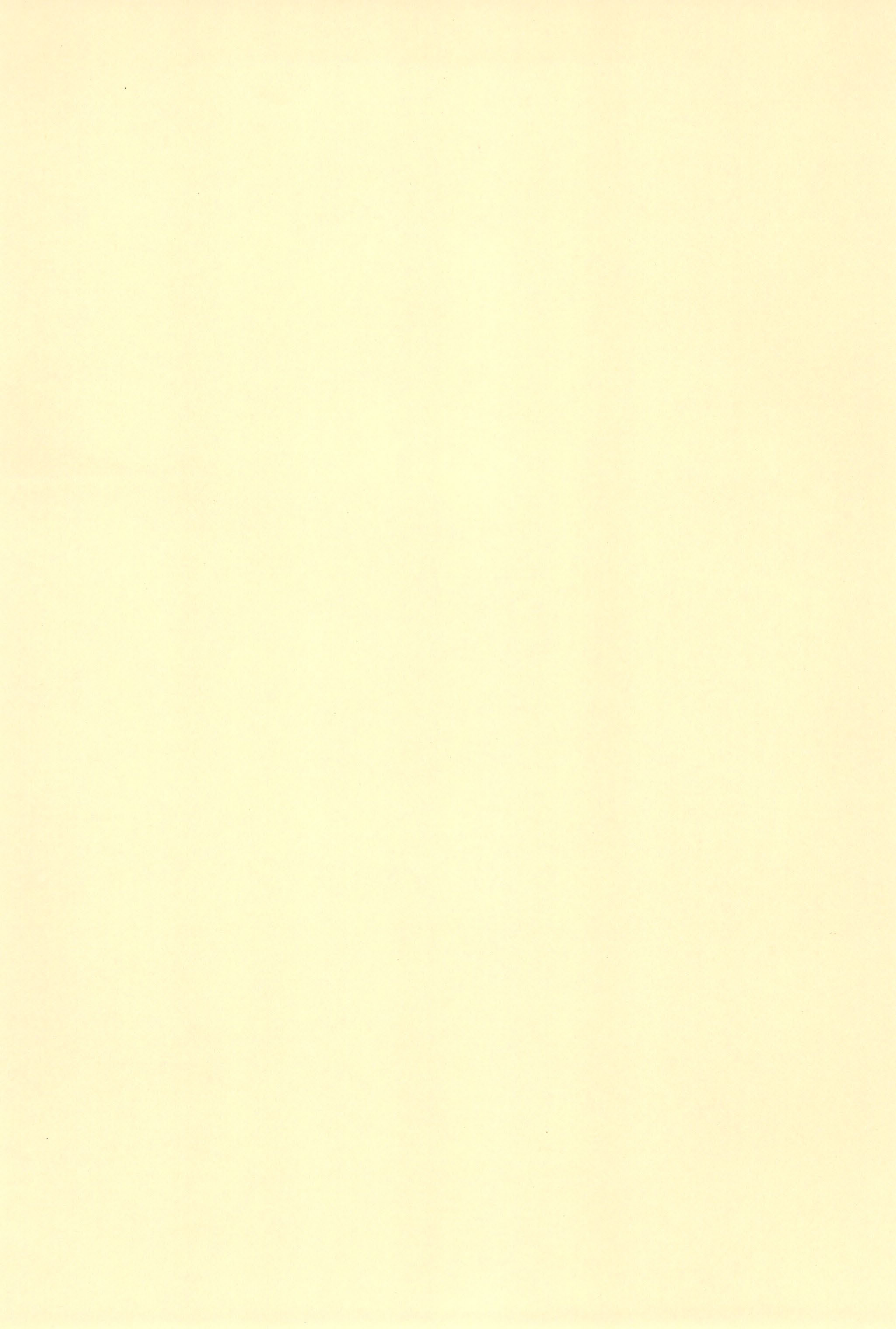 (ぷにケット13) [とくだ (上田裕)] ノーチェとぎゅ～っとおともだち (ふしぎ星の☆ふたご姫)