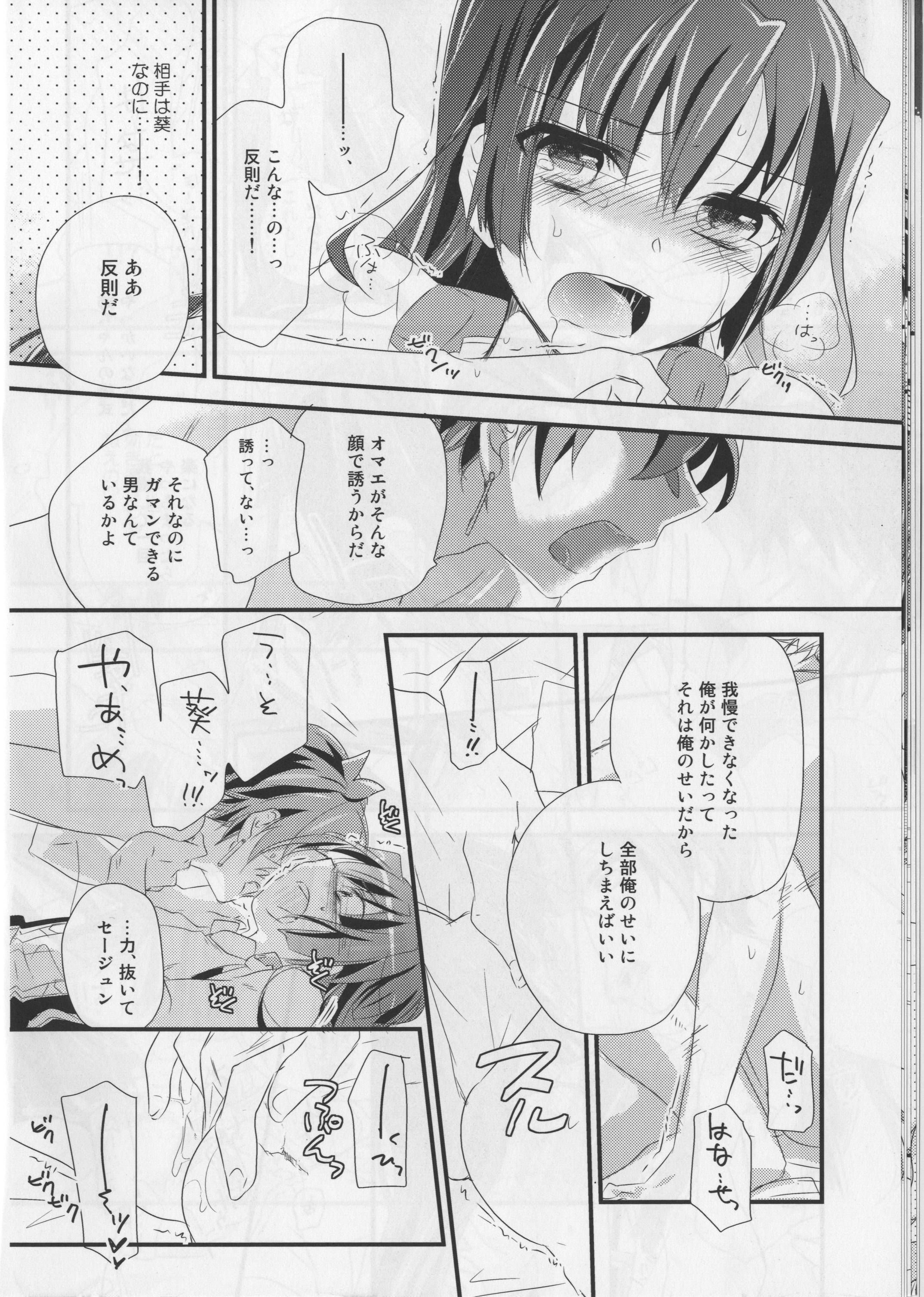 (COMIC1☆6) [ABLISS (迷)] そんなセージュン (境界線上のホライゾン)